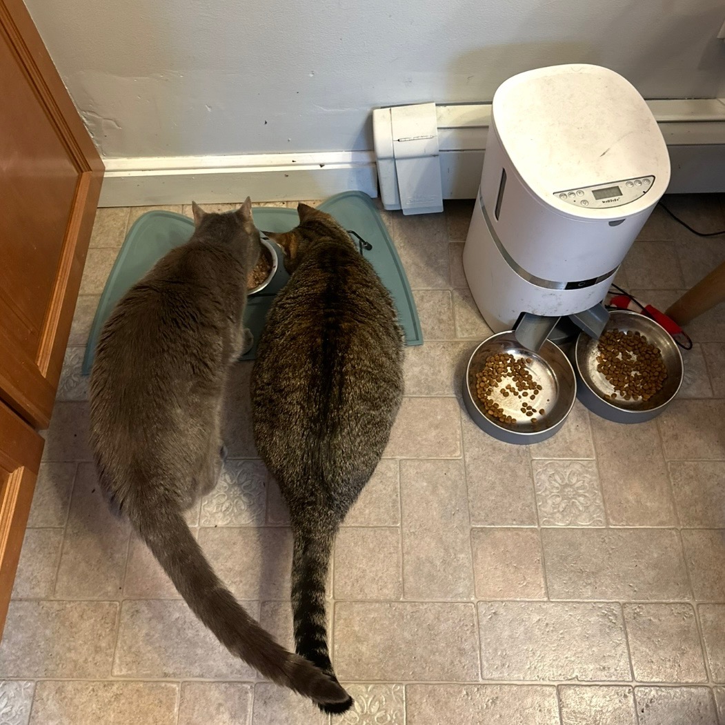 Drop-In Visits
