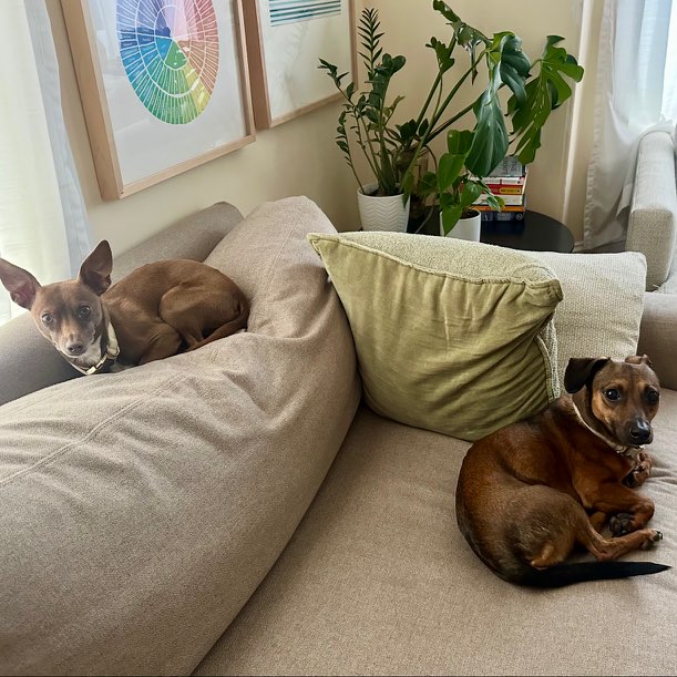 House Sitting