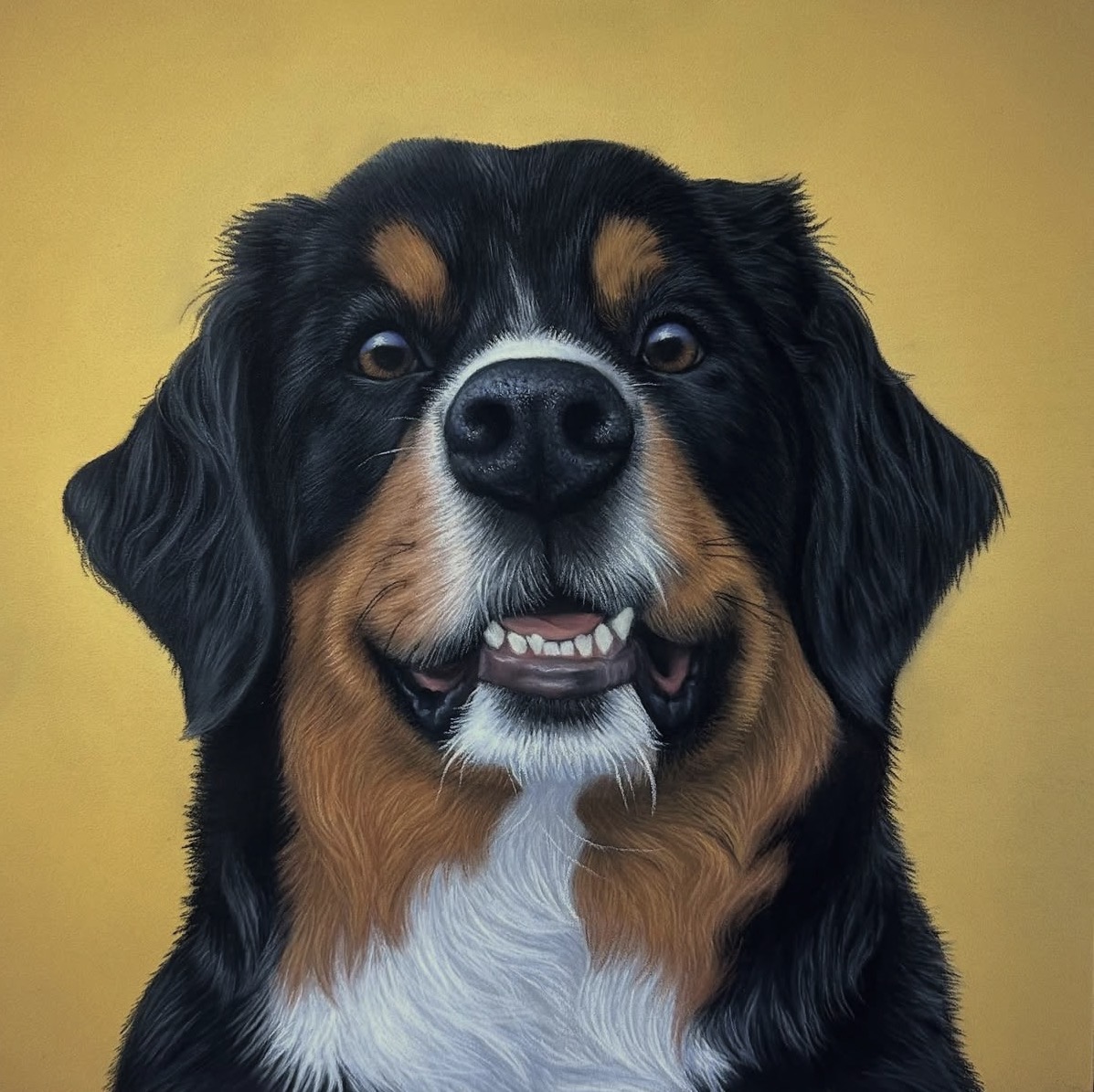 Pet portrait 2